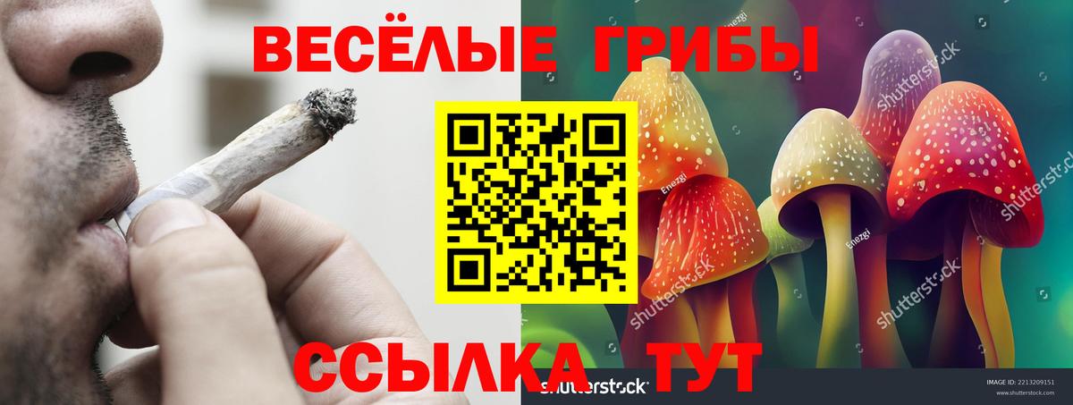 Галлюциногенные грибы Psilocybe Ростов Великий